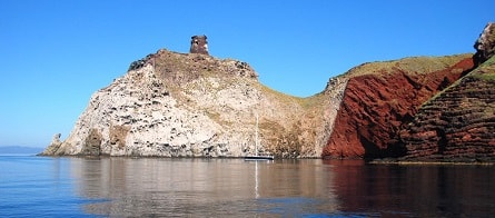 contatti nencioni